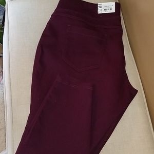 Hue Leggings